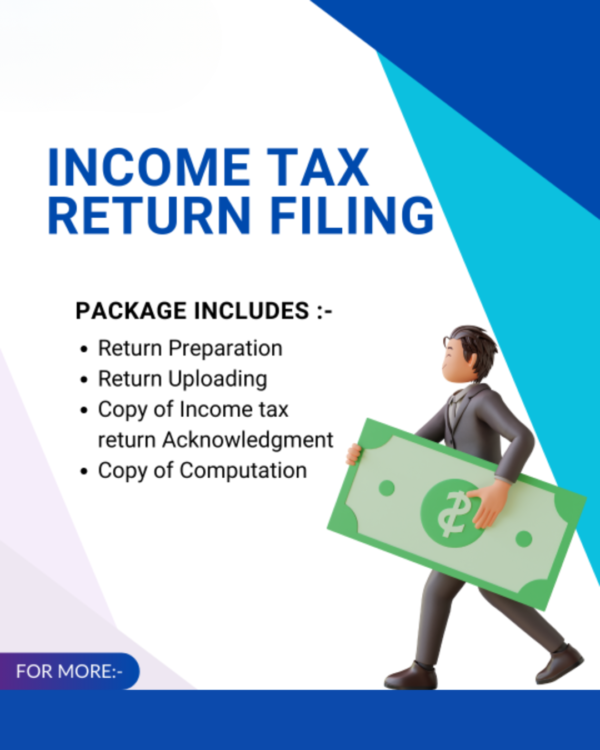 Income Tax Return Filing